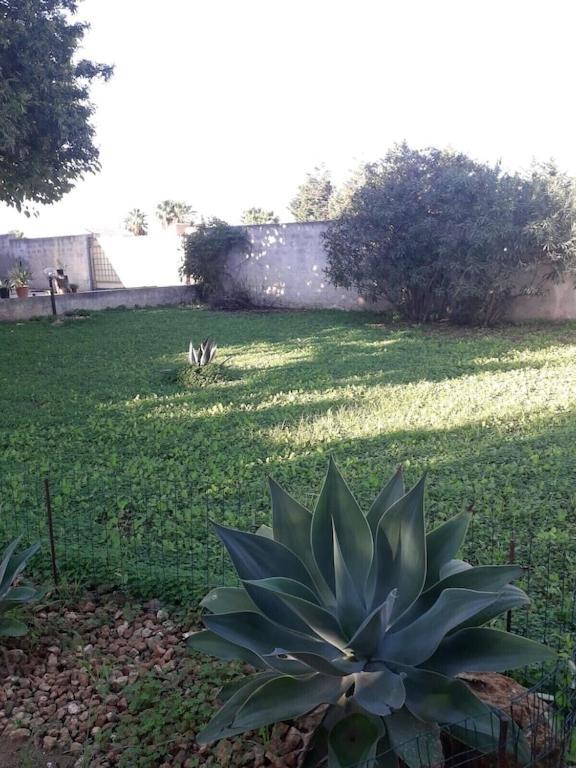 Villa Singola A 1300 Mt Dal Mare Mazara del Vallo Exterior foto